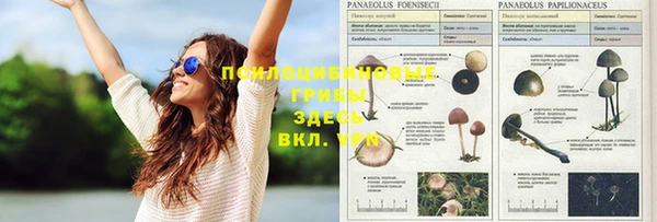 альфа пвп Беломорск