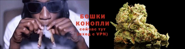 таблы Белокуриха
