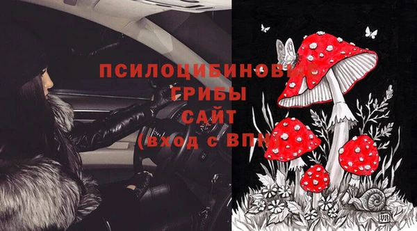 таблы Белокуриха