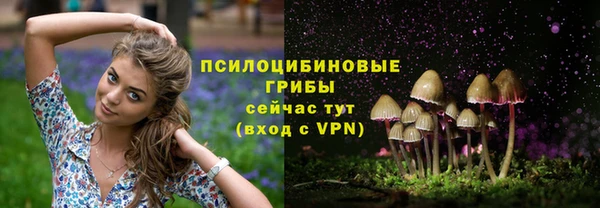 альфа пвп Беломорск