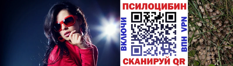 как найти наркотики  Кулебаки  Псилоцибиновые грибы мухоморы 